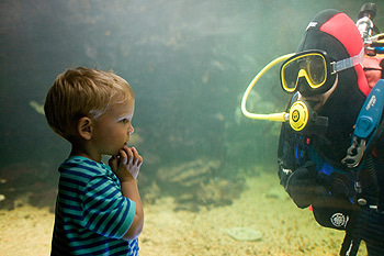 Child & Diver.jpg
